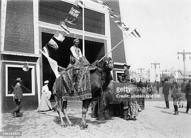 Missouri Saint Louis: Saint Louis World's Fair Presentation of a camel and a small elephant at Hagenbeck's menagerie on the exhibition area - 1904 -...