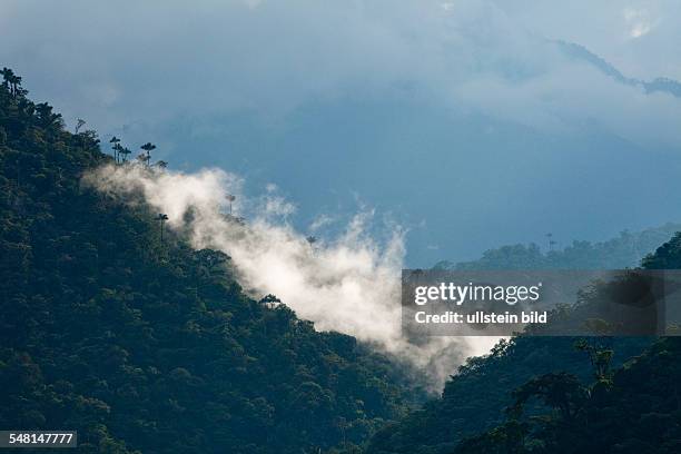 Ecuador Mera - Clouds in the rainforest