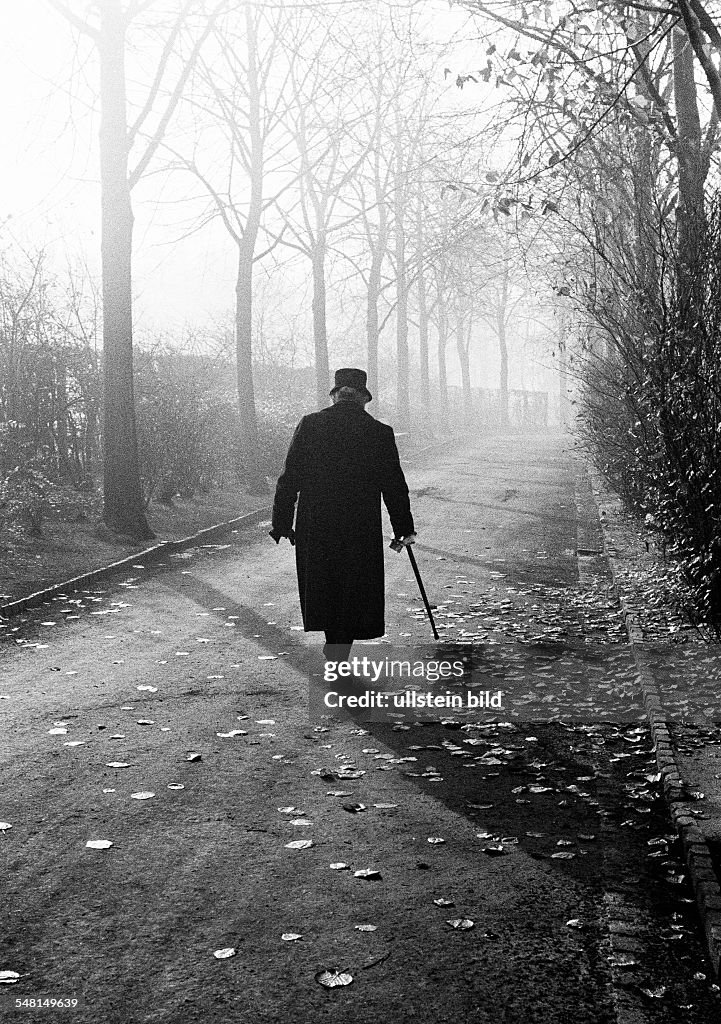 Transitional period from autumn to winter, symbolic, older woman with walking stick goes for a walk over a graveyard, completely dressed in black, backlight, rear view, aged 70 to 80 years, D-Bottrop, Ruhr area, North Rhine-Westphalia - 06.11.1965