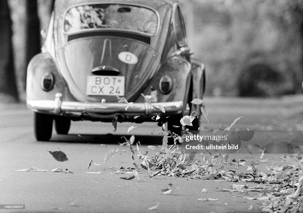Autumn, autumn leaves on the street swirled up by a passing motorcar, VW-Beetle, D-Bottrop, D-Bottrop-Kirchhellen, Grafenwald, Ruhr area, North Rhine-Westphalia - 18.10.1972