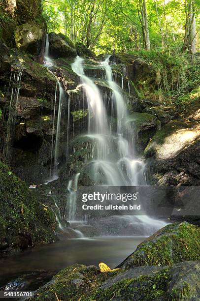 Germany - Baden-Wuerttemberg - Schwarzwald : View of a little beck in the natural park