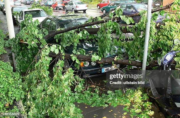 Germany North Rhine-Westphalia Bonn - thunderstorm, tree has damaged a car parking at the road side