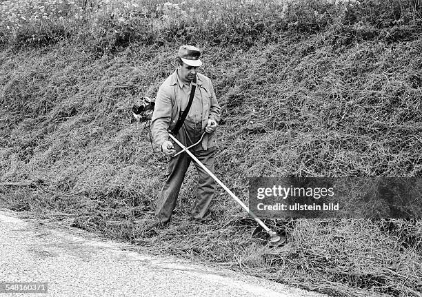 Economy, work, occupation, gardening, landscape gardener mows the grass on a slope, aged 40 to 50 years, Black Forest, Baden-Wuerttemberg -