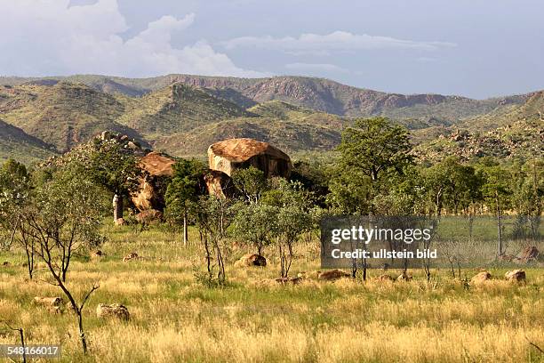 Western Australia Kimberley - Australien landscape in the outback