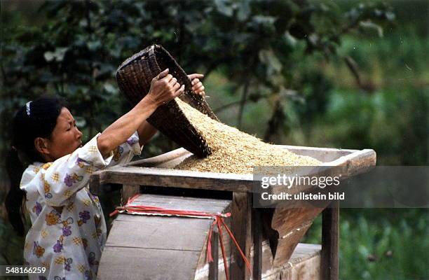 Eine Frau an ihrer kleinen Reismühle in den Feldern von Yang Shuo Provinz Guangxi, Südchina) - November 1996