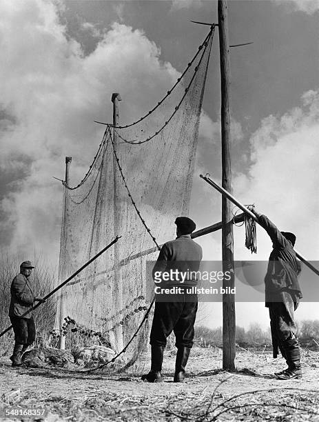 Germany Bavaria Regensburg - Fishermen drying their fishing nets at the bank of the Danube - 1950ies