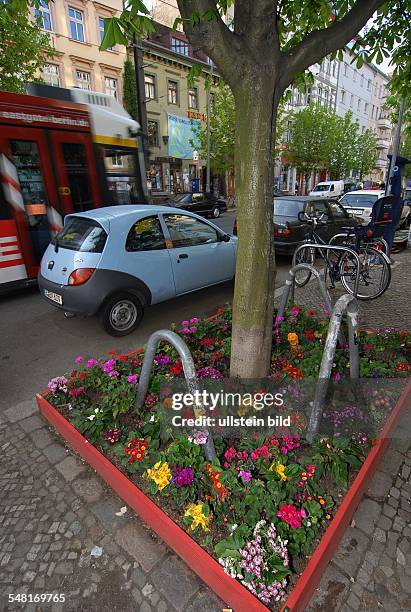 Germany Berlin Prenzlauer Berg - Kastanienallee, flower bed under a tree