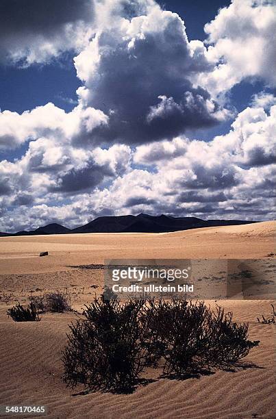 Dünenlandschaft im Norden der Insel bei Corralejo - 1991