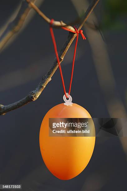 Orange plastic Easter egg hanging in a tree