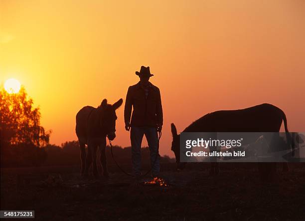 Germany Saxony - Man with cowboy hat and two donkeys during sunset