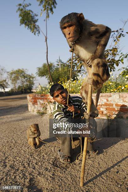 Young man is begging with a performing monkey