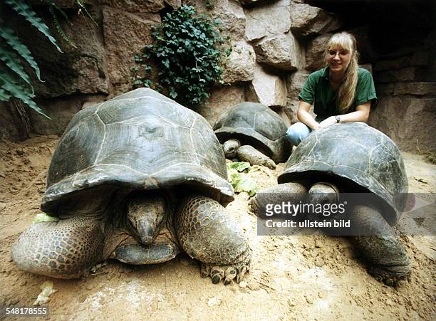 Riesenschildkröten im Tierpark Berlin Friedrichsfelde - 1996