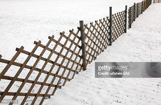 Fence in the snow