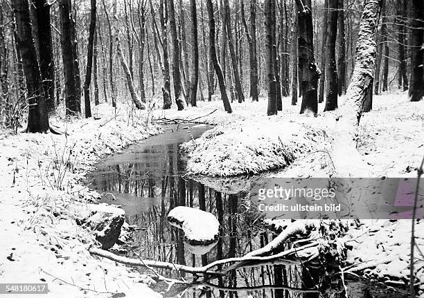 Winter, weather, snow, snowy landscape, park, wood, trees, brook, Alsbach, Alsbach Valley, D-Oberhausen, D-Oberhausen-Sterkrade, Ruhr area, North...