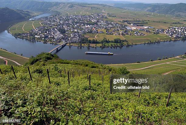 Germany Rhineland-Palatinate - Vineyards near Piesport with 'Mosel' river.