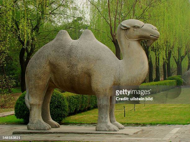 China Beijing Beijing - Ming Dynasty Tombs: camel