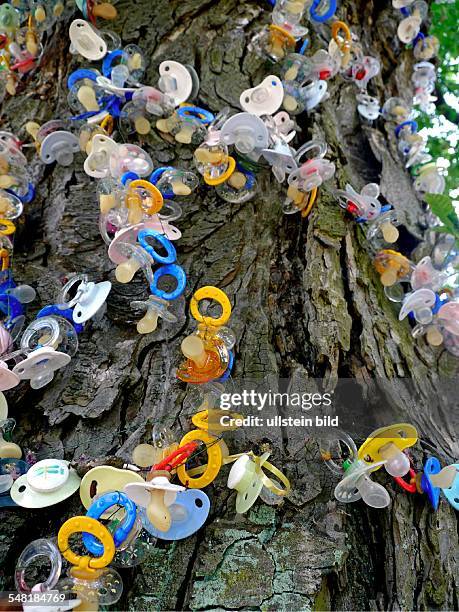 Germany North Rhine-Westphalia Bonn - 'soother tree', children can give of their soother, for a soother the NUK company is donating 1 Euro for the...