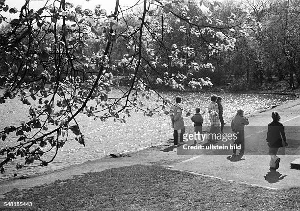 Springtime, family with four children walks along a pond, Ruhr area, North Rhine-Westphalia -