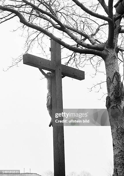 Religion, Christianity, wayside cross near a birch tree, D-Bottrop, Ruhr area, North Rhine-Westphalia -