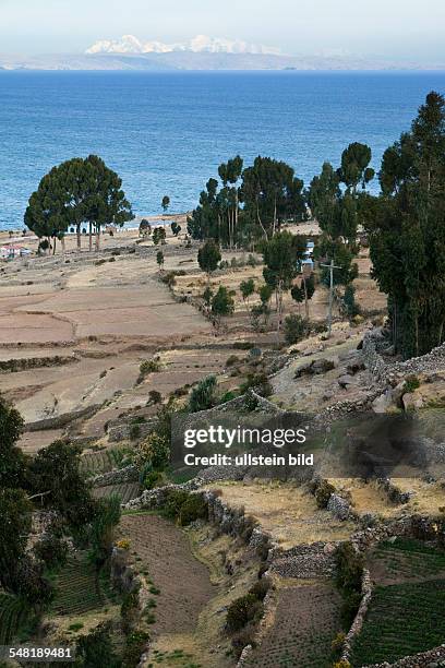 Peru - Isla Amantani: terrace fields