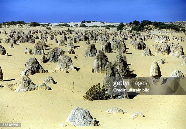 The Pinnacles im Nambung National Park - 1999