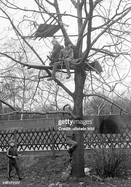 People, children, four boys playing at a tree house, childrens playground, aged 10 to 13 years -