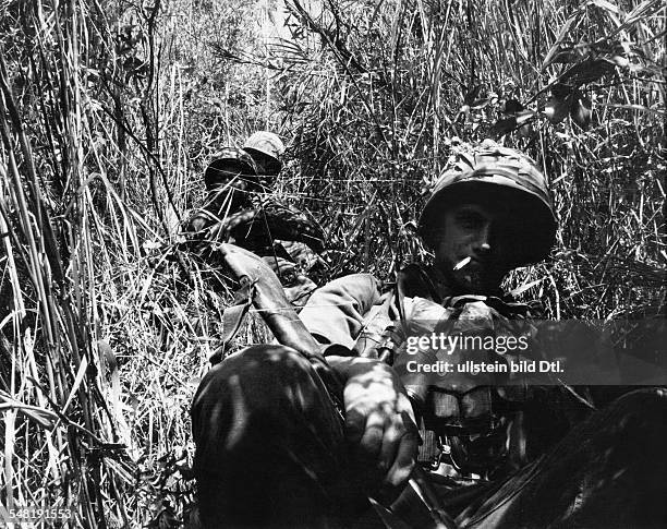 Vietnam War US-soldiers in a bamboo thicket - 1966