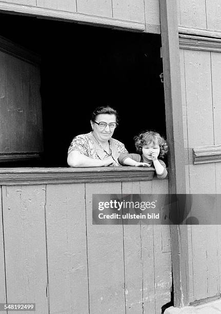 People, elder woman and her granddaughter look out of a stable, aged 60 to 70 years, aged 3 to 4 years -