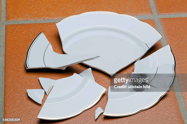 Broken plate on the floor of the kitchen