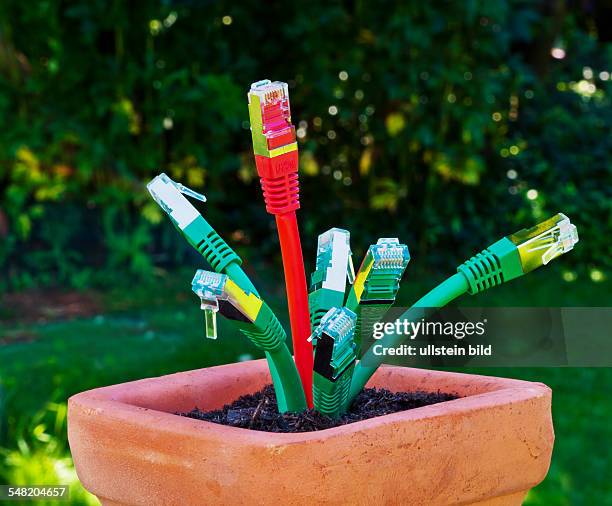 Rj45 Connector Photos and Premium High Res Pictures - Getty Images