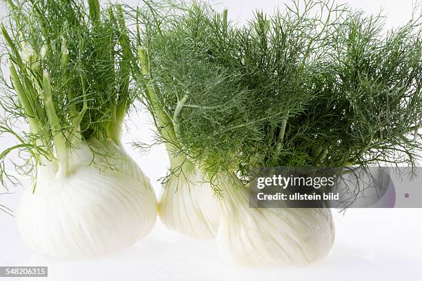 Fennel