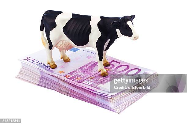 Symbolic photo agricultural subsidies, 500 Euro banknotes and model of a cow