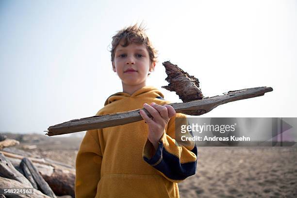 young boy holding piece of driftwood on a beach - boy exploring on beach stock pictures, royalty-free photos & images