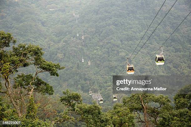 maokong gondola over the hills, taipei, taiwan - taipei tea stock pictures, royalty-free photos & images