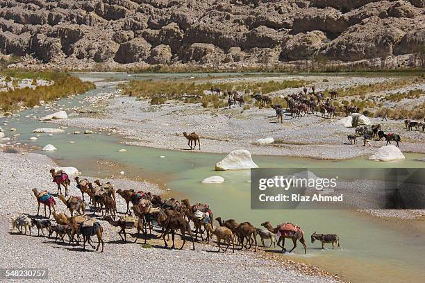 camel caravan passing through bolan pass - brooks fleet stock pictures, royalty-free photos & images