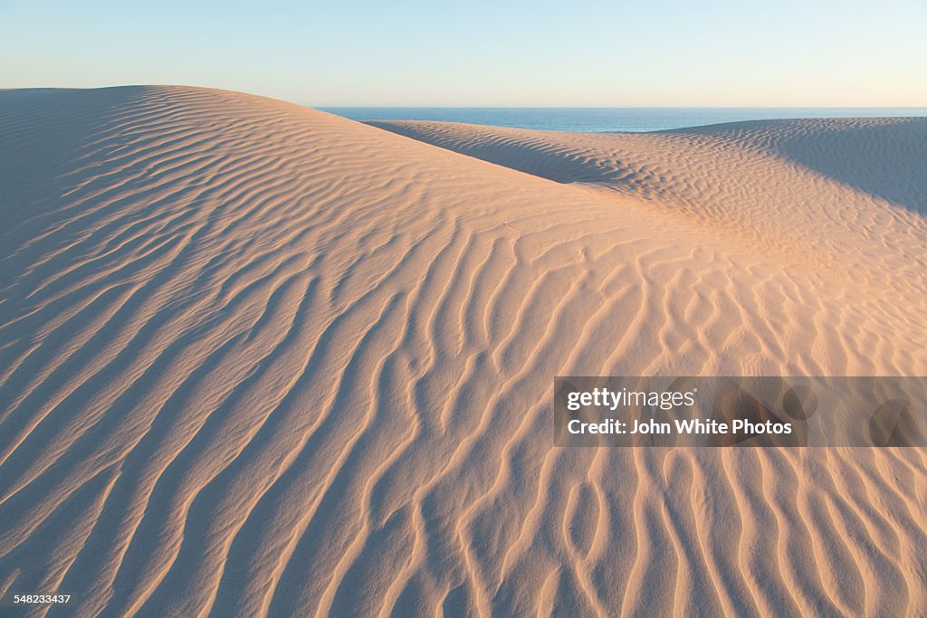 Sand dunes. Eyre Peninsula. South Australia.