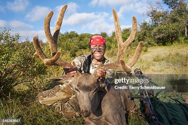 bow hunting for deer in pagosa springs colorado. - bow hunting stock pictures, royalty-free photos & images