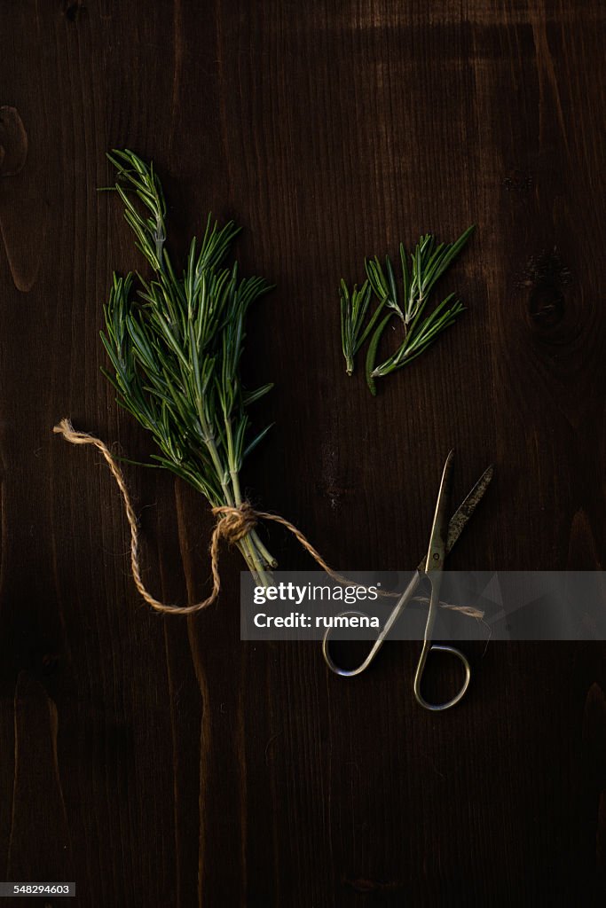 Rosemary and scissors