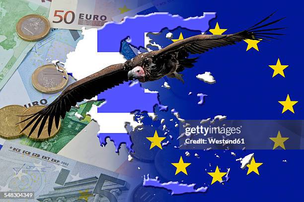 vulture over euro notes and coins and greece flag - crisis de la deuda de la eurozona fotografías e imágenes de stock
