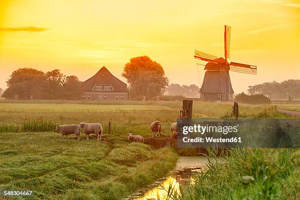 Netherlands, North Holland, windmill at sunset