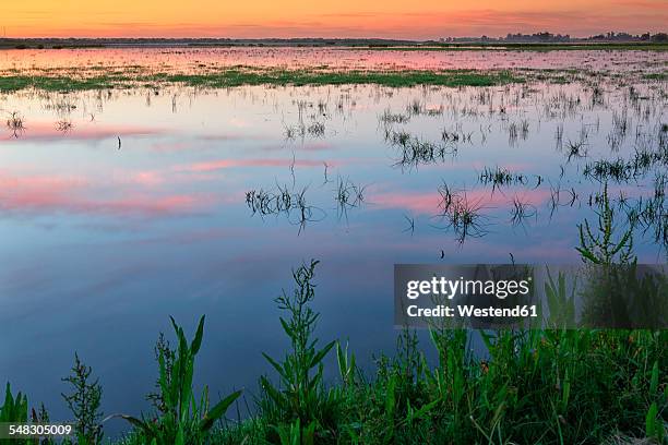 spain, andalusia, huelva province, donana national park, guadalquivir river - parque nacional de donana stock pictures, royalty-free photos & images