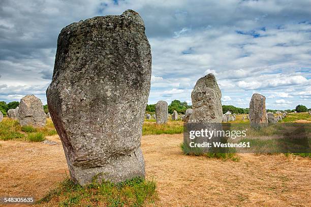 france, brittany, neolithic megaliths of carnac - carnac stock pictures, royalty-free photos & images