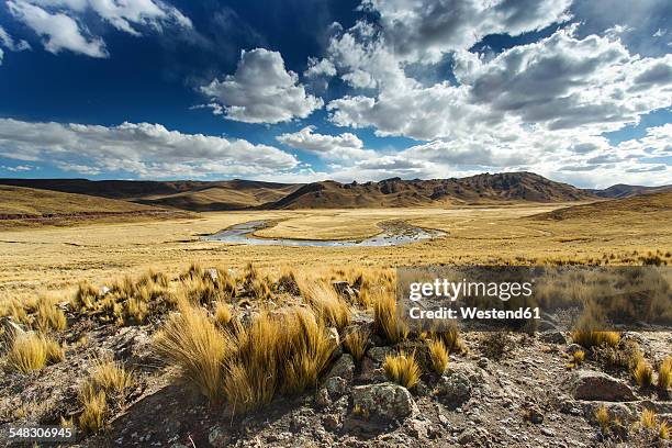 bolivia, landscape between arequipa and lake titicaca - semiarid stock pictures, royalty-free photos & images