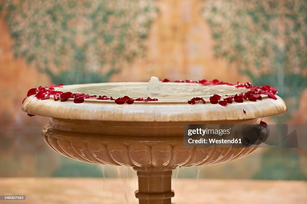 Morocco, Fes, Hotel Riad Fes, marble fountain with red rose petals