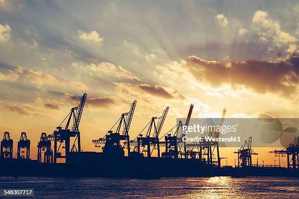 germany, hamburg, container cranes at sunset - port of hamburg stock pictures, royalty-free photos & images