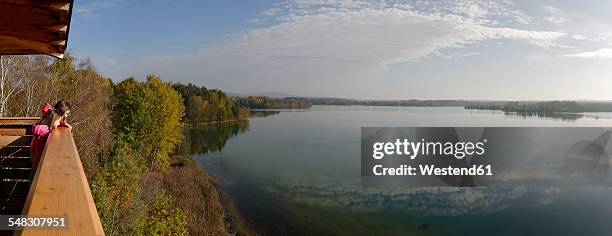 germany, bavaria, upper palatinate, viewing point at lake murner see, panorama - oberpfalz stock-fotos und bilder