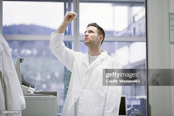 1,093 Windows Sample Stock Photos, High-Res Pictures, and Images ...