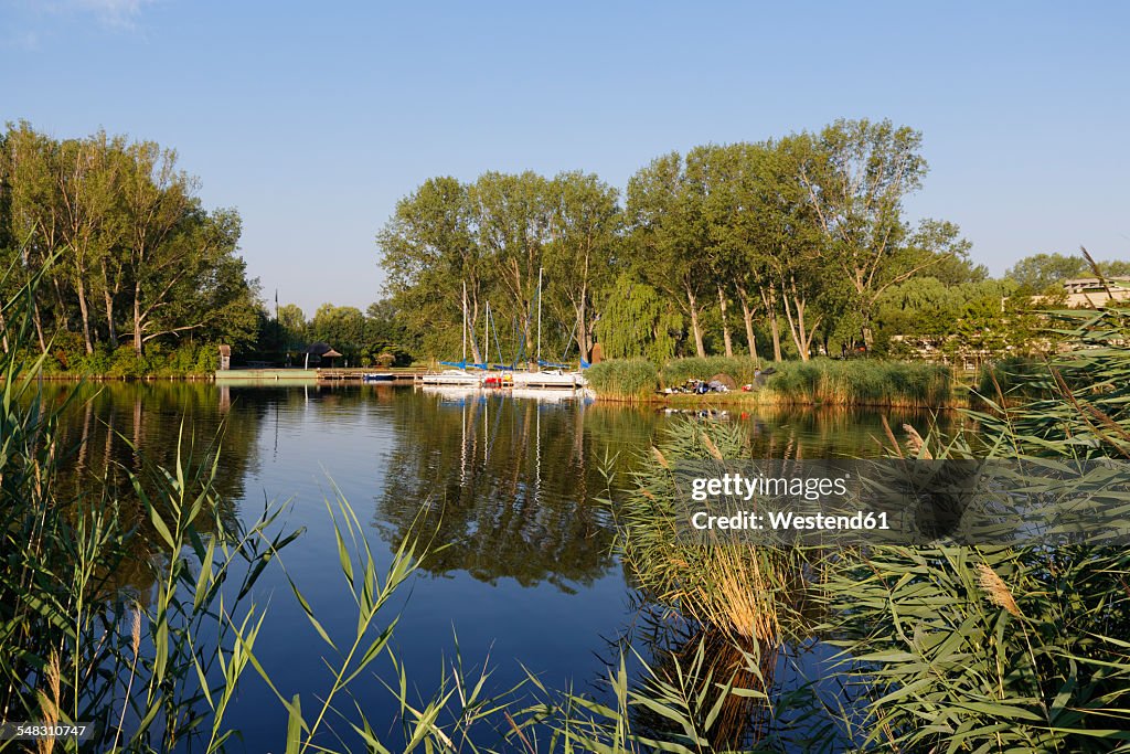 Austria, Burgenland, Lake Neusiedl at Purbach am Neusiedler See
