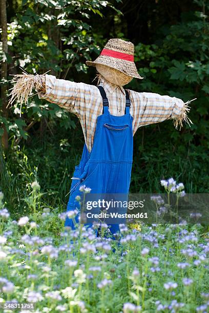 austria, salzburg country, grossgmain open air museum, scarecrow in flower meadow - scarecrow agricultural equipment stock-fotos und bilder