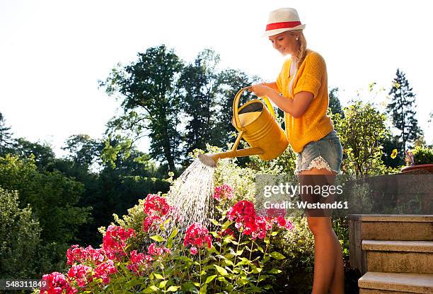 young woman watering flowers in the garden - watering can stock pictures, royalty-free photos & images